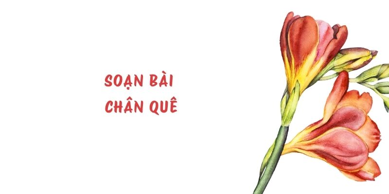 Soạn bài Chân quê – ngắn nhất Chân trời sáng tạo