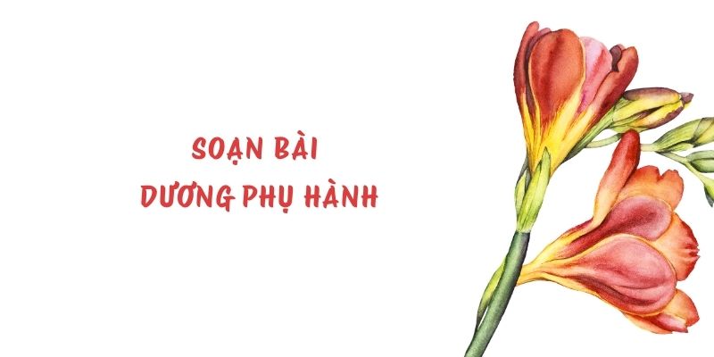 Soạn bài Dương phụ hành – Kết nối tri thức