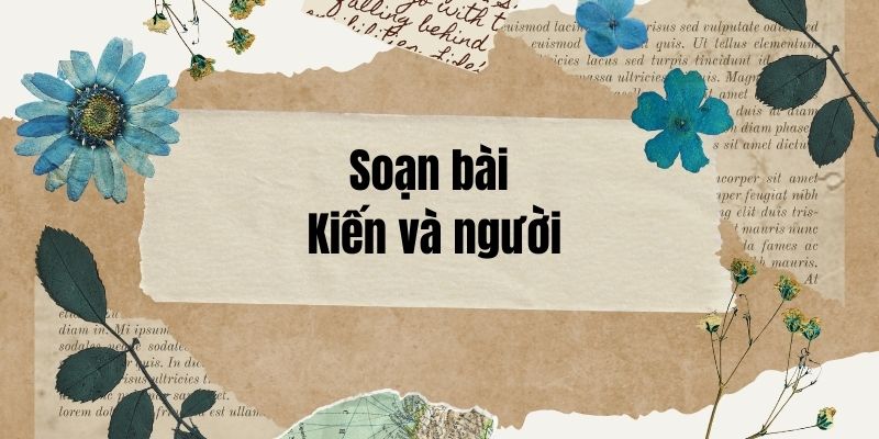 Soạn bài Kiến và người – Chân trời sáng tạo