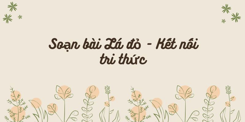 Soạn bài Lá đỏ – Kết nối tri thức