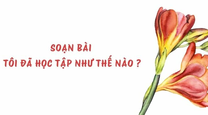 Soạn bài Tôi đã học tập như thế nào ? – Chân trời sáng tạo