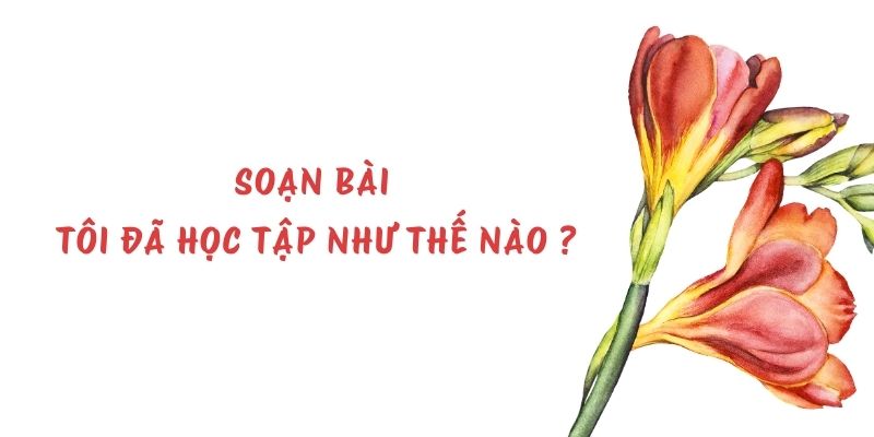 Soạn bài Tôi đã học tập như thế nào ? – Chân trời sáng tạo