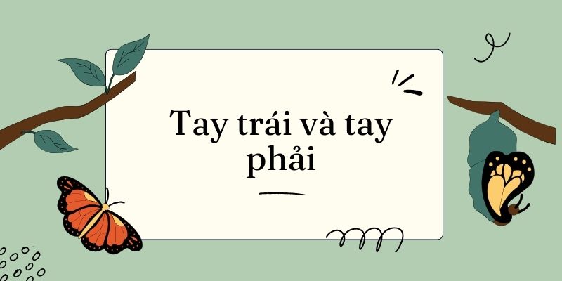 Bài 12: Tay trái và tay phải Tiếng Việt lớp 3 Kết nối tri thức