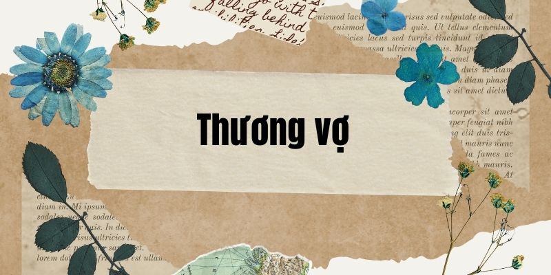 12+ Phân tích Thương vợ (điểm cao)