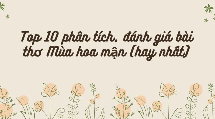 Top 10 phân tích, đánh giá bài thơ Mùa hoa mận (hay nhất)