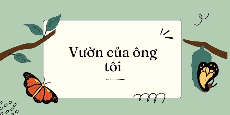 Bài 13: Vườn của ông tôi – Tiếng Việt lớp 4 Kết nối tri thức